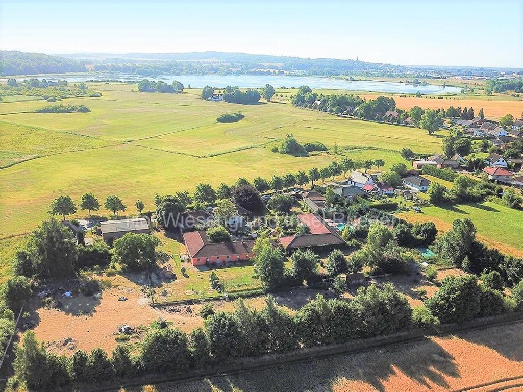 06 Grashuepfer - Hof Wiesengrund Parchtitz Exteriör bild