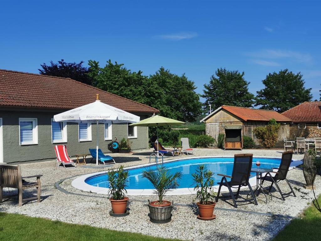 06 Grashuepfer - Hof Wiesengrund Parchtitz Exteriör bild